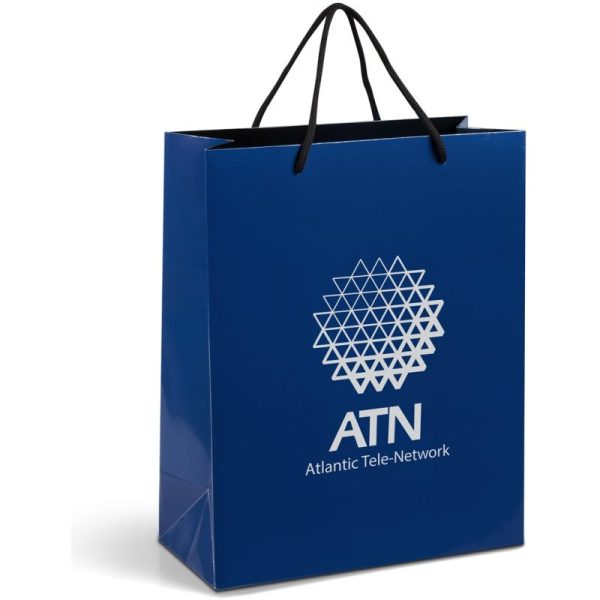 Altitude Dazzle Midi Paper Gift Bag - Image 8