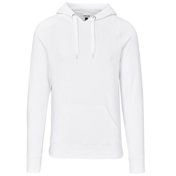 Mens Harvard Heavyweight Hooded Sweater