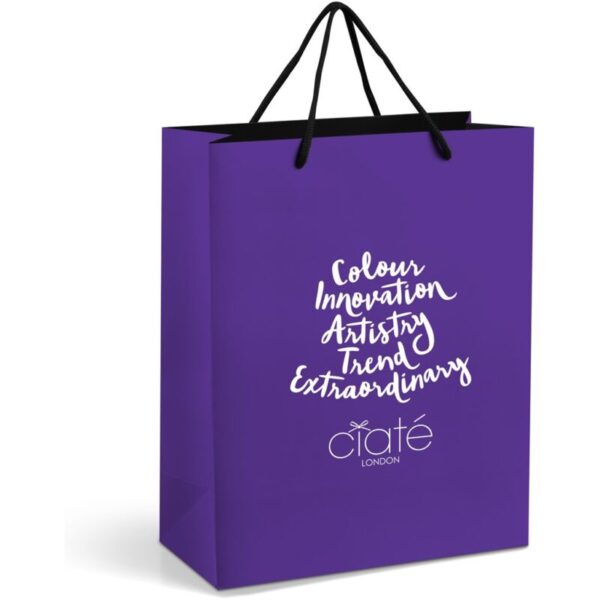 Altitude Omega Midi Paper Gift Bag - Image 4
