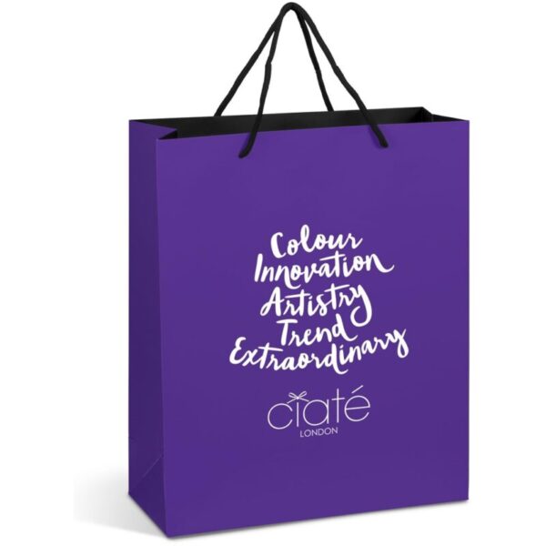 Altitude Omega Maxi Paper Gift Bag - Image 3