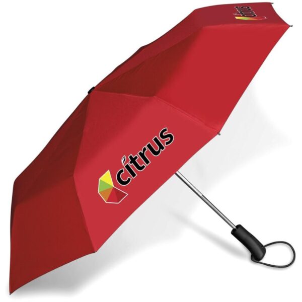 Whimsical Auto-Open Compact Umbrella - Image 2